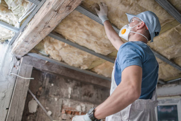 Best Insulation for Specific Applications in Lake Mack Forest Hills, FL